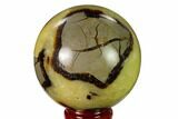 2.5" Polished Septarian Sphere - Madagascar - #154133-1